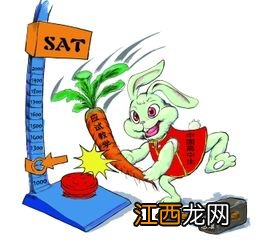 关于中考前备考的一些问题求助