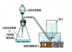 过氧化氢加热会生成什么