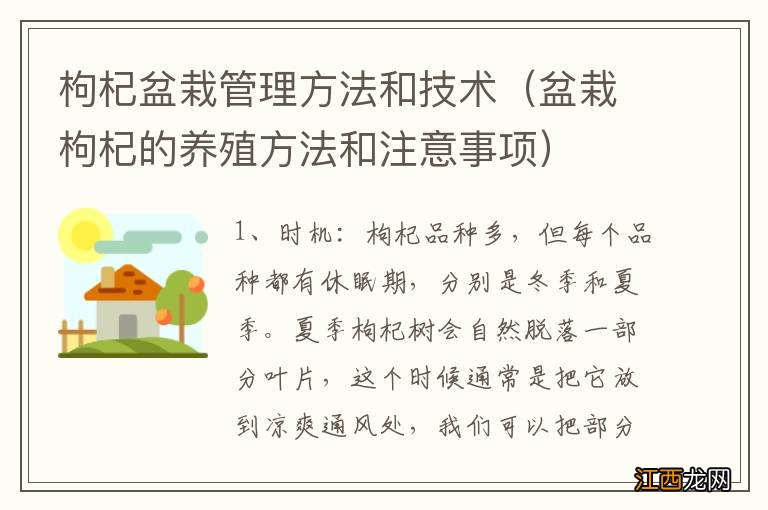 盆栽枸杞的养殖方法和注意事项 枸杞盆栽管理方法和技术