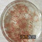 观赏鱼鱼食过期了还可以喂鱼吗