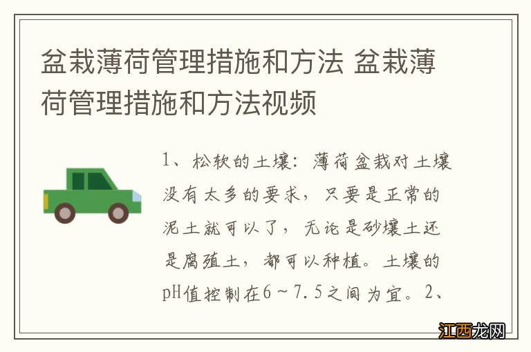 盆栽薄荷管理措施和方法 盆栽薄荷管理措施和方法视频