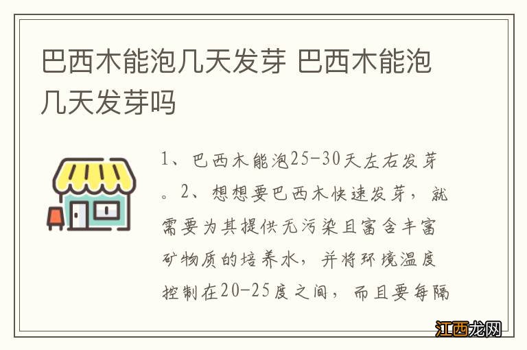 巴西木能泡几天发芽 巴西木能泡几天发芽吗