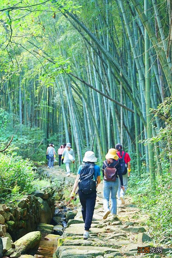 上新了！浙江6条初秋宝藏古道，人不多，够惊艳，挑一个9月就出发！