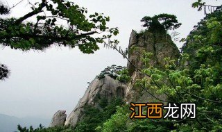 九华山在什么地方 九华山的简介