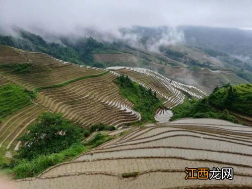 桂林的龙脊梯田旅游攻略