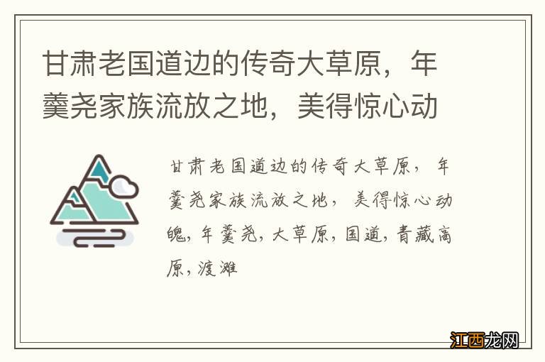 甘肃老国道边的传奇大草原，年羹尧家族流放之地，美得惊心动魄