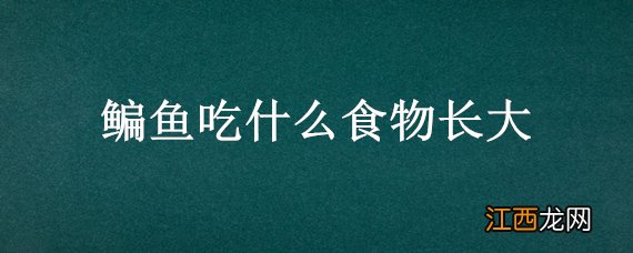 鳊鱼吃什么食物长大，鲻鱼吃什么长大的