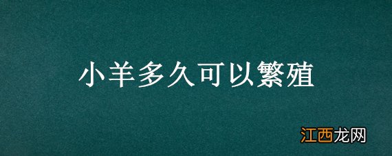 小羊多久可以繁殖 小羊要养多久可以繁殖