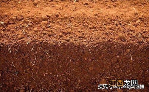 国家还允许烧红砖吗