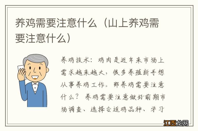 山上养鸡需要注意什么 养鸡需要注意什么