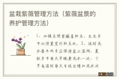 紫薇盆景的养护管理方法 盆栽紫薇管理方法