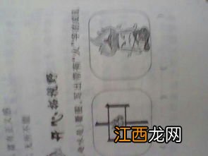 关于子的4字成语