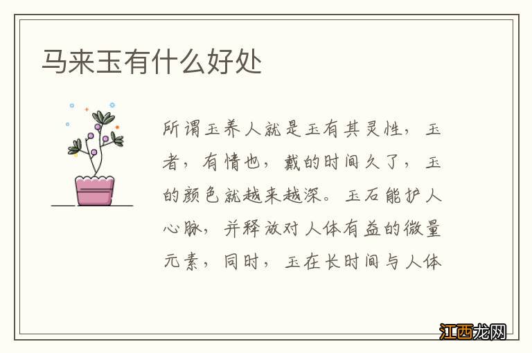 马来玉有什么好处