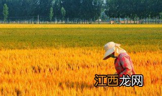 稻梦空间什么季节去，稻梦空间游玩时间