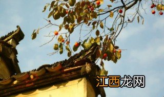 塔川村什么季节去最好 塔川几月去最合适