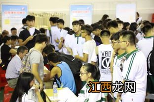 关于学校的体能测试