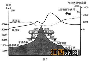 关于山地海拔与降水量的关系