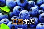 为什么巴沙鱼不能给孩子吃 巴沙鱼很脏吗