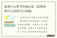 板栗秋季什么时候可以种植 板栗什么季节种植合适