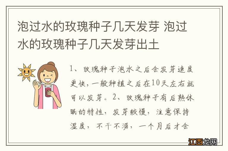 泡过水的玫瑰种子几天发芽 泡过水的玫瑰种子几天发芽出土