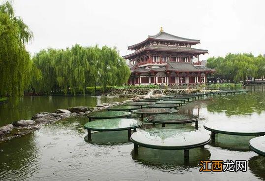 一场秋雨，一幅美景！不可错过的西安初秋雨景