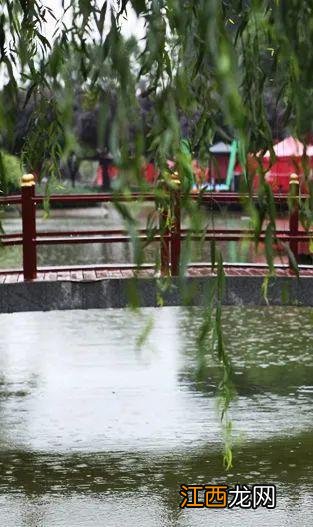 一场秋雨，一幅美景！不可错过的西安初秋雨景