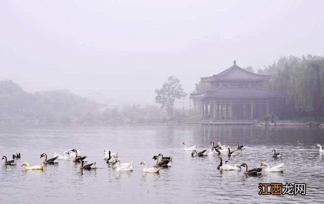 一场秋雨，一幅美景！不可错过的西安初秋雨景