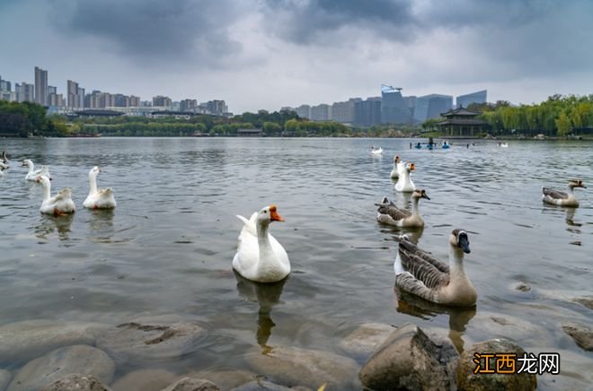 一场秋雨，一幅美景！不可错过的西安初秋雨景