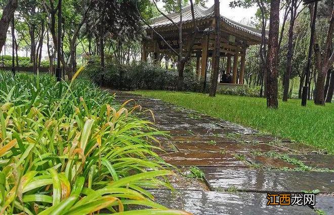 一场秋雨，一幅美景！不可错过的西安初秋雨景