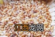 红梅花的功效与作用 红梅花的食用方式和注意事项