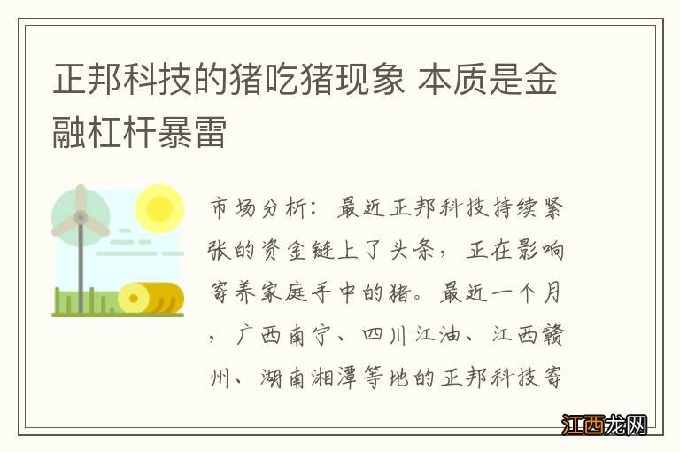 正邦科技的猪吃猪现象 本质是金融杠杆暴雷