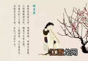 关于宋词贺圣朝