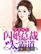 关于闪婚总裁的小说有哪些