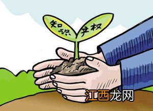 国内知识产权保护的范围有那些