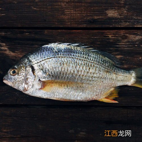 海鲫鱼都有什么做法