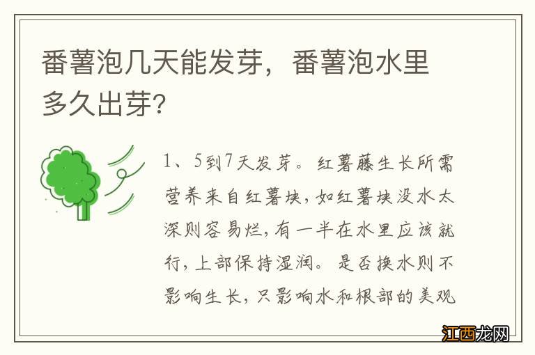 番薯泡几天能发芽，番薯泡水里多久出芽?