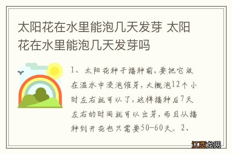 太阳花在水里能泡几天发芽 太阳花在水里能泡几天发芽吗