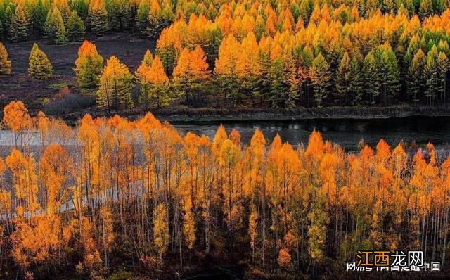 内蒙古阿尔山赏秋，九月推荐最佳旅行目的地；你准备好了吗？