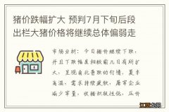 猪价跌幅扩大 预判7月下旬后段出栏大猪价格将继续总体偏弱走势为主