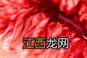 无花果里面变黄了能吃吗 无花果里面有虫子能吃吗