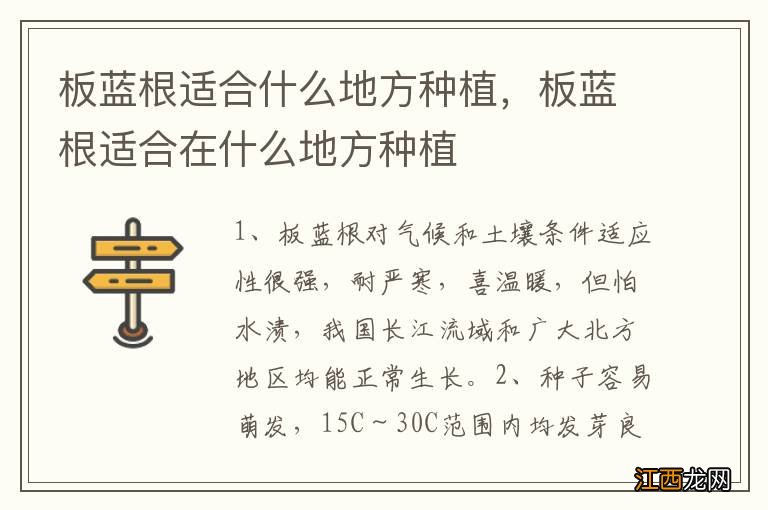 板蓝根适合什么地方种植，板蓝根适合在什么地方种植