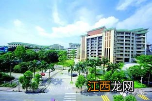 广州郊区有哪些大学