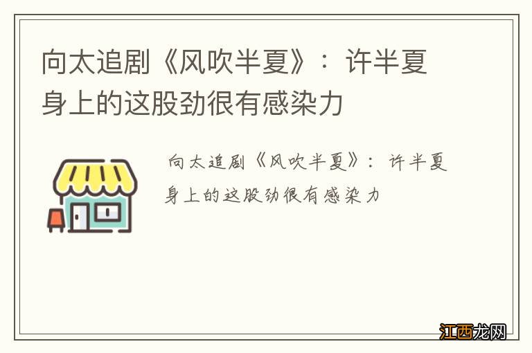 向太追剧《风吹半夏》:许半夏身上的这股劲很有感染力