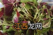 芦笋和虾可以一起吃吗 芦笋需要焯一下水再做吗