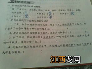 关于认真思考的四字词