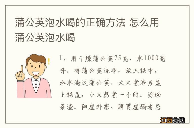 蒲公英泡水喝的正确方法 怎么用蒲公英泡水喝