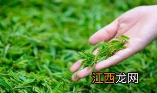 喝清明茶有什么好处 喝清明茶好处介绍