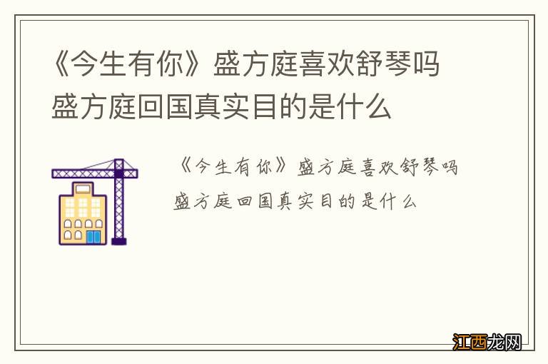 《今生有你》盛方庭喜欢舒琴吗 盛方庭回国真实目的是什么