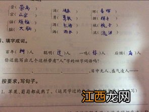 关于人和鸡的四字成语