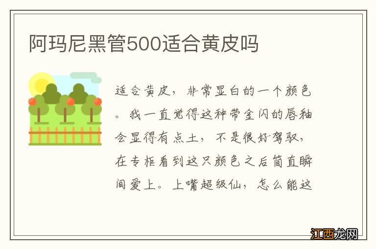 阿玛尼黑管500适合黄皮吗